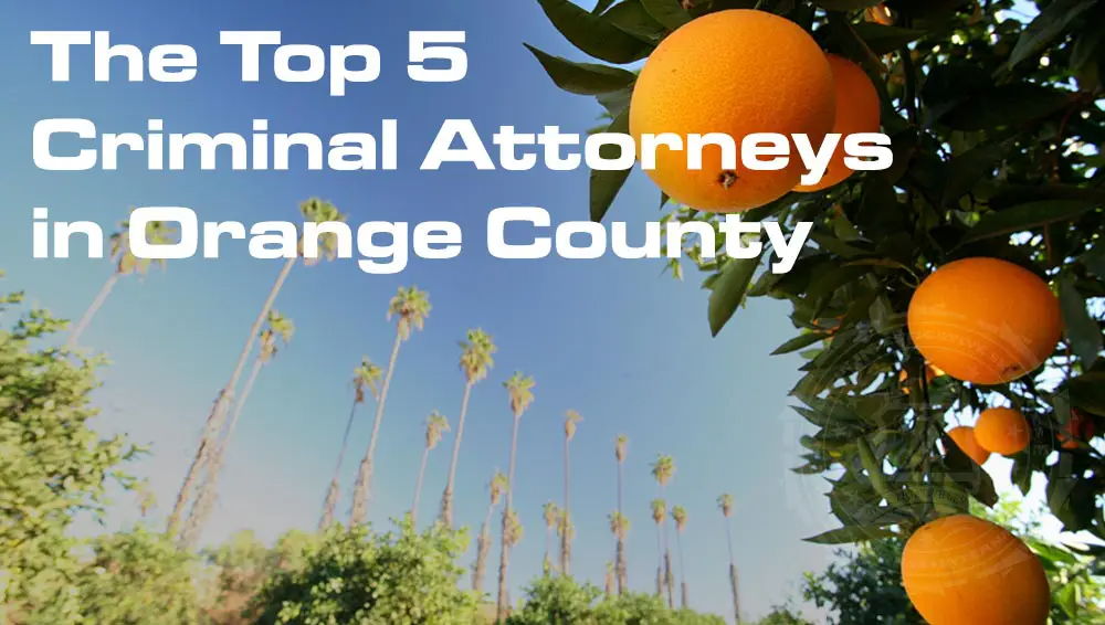 Top 5 Criminal Attorneys OC